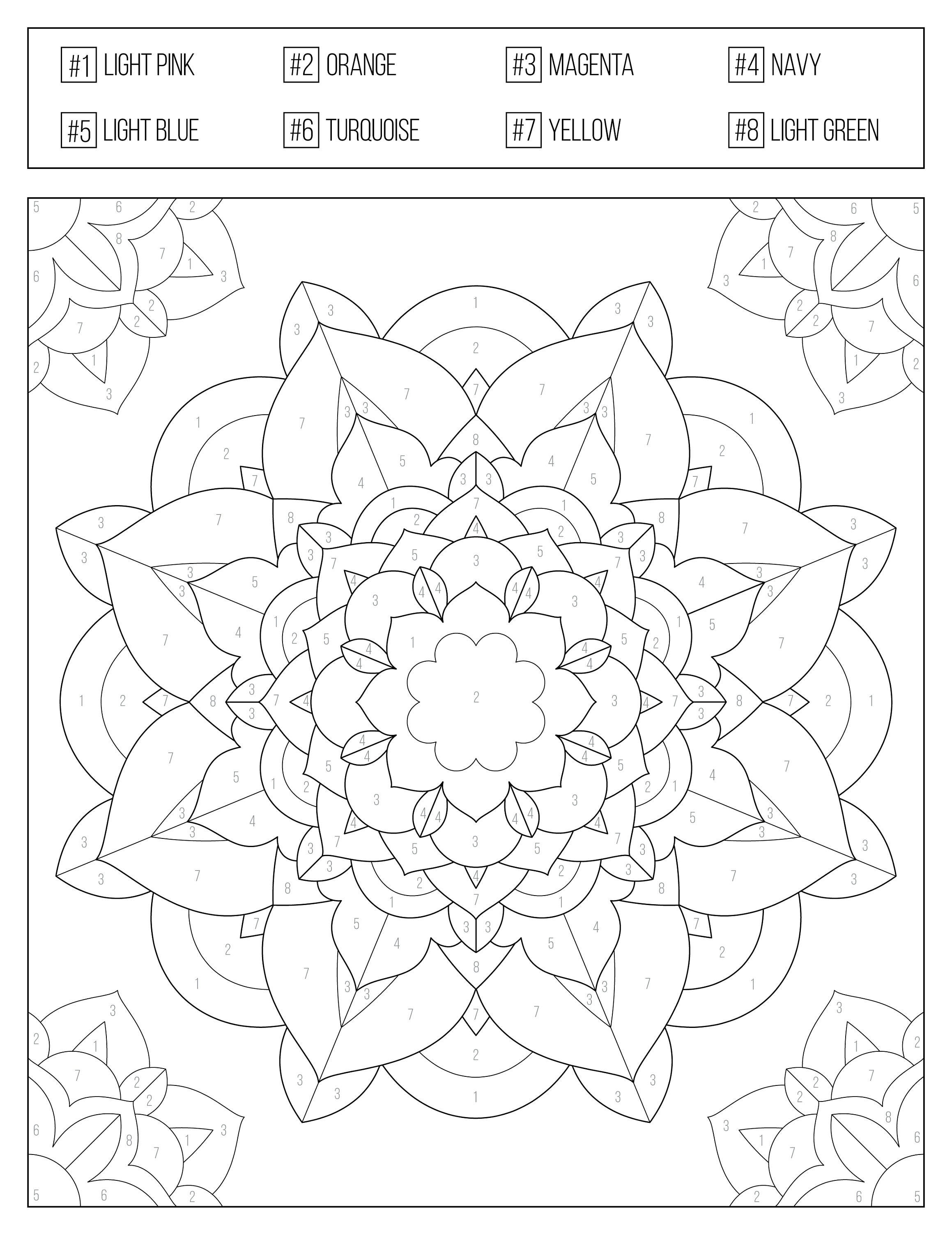 Coloring Books By Number 26