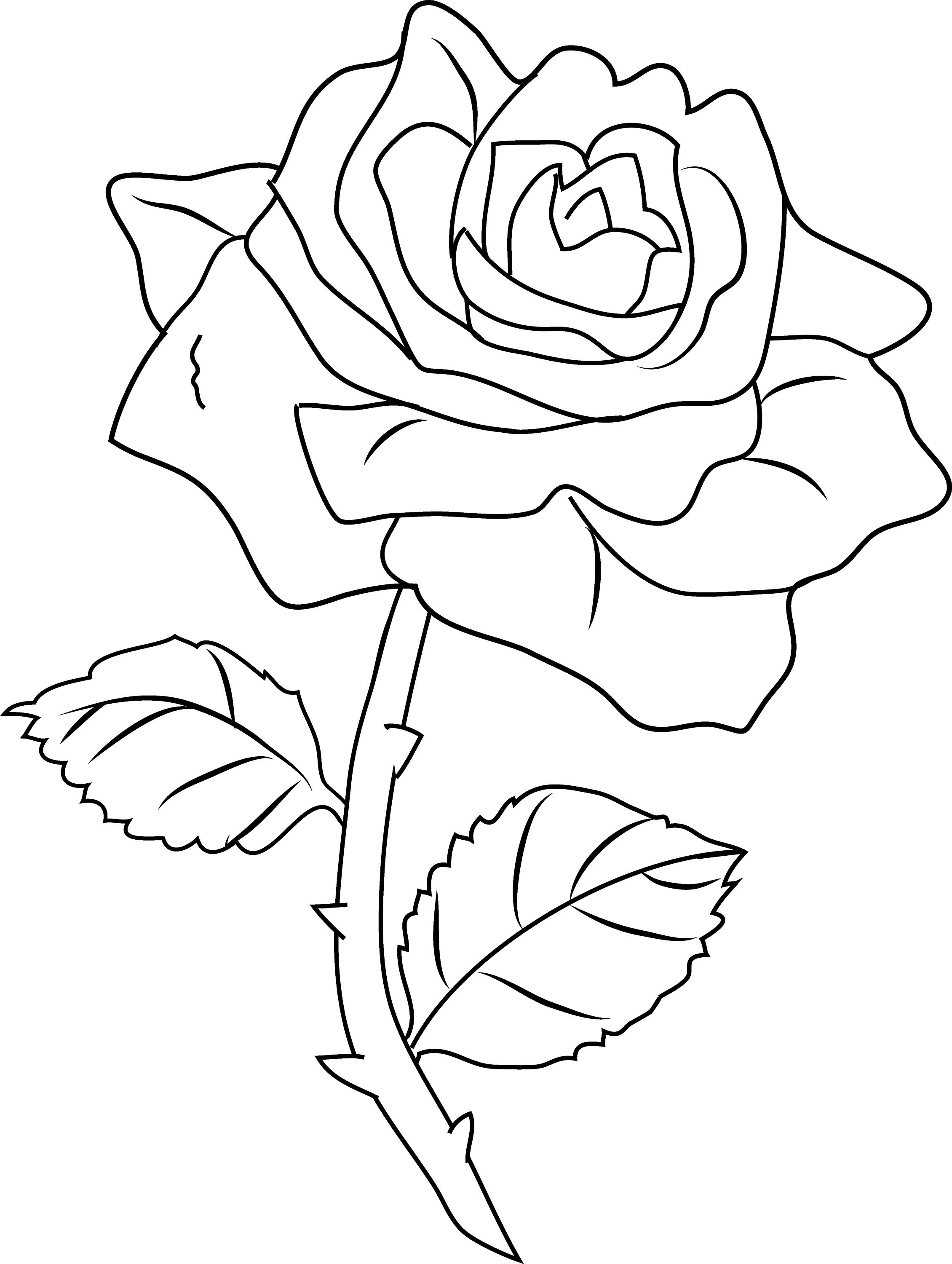 Coloring Pages Clip Art 16