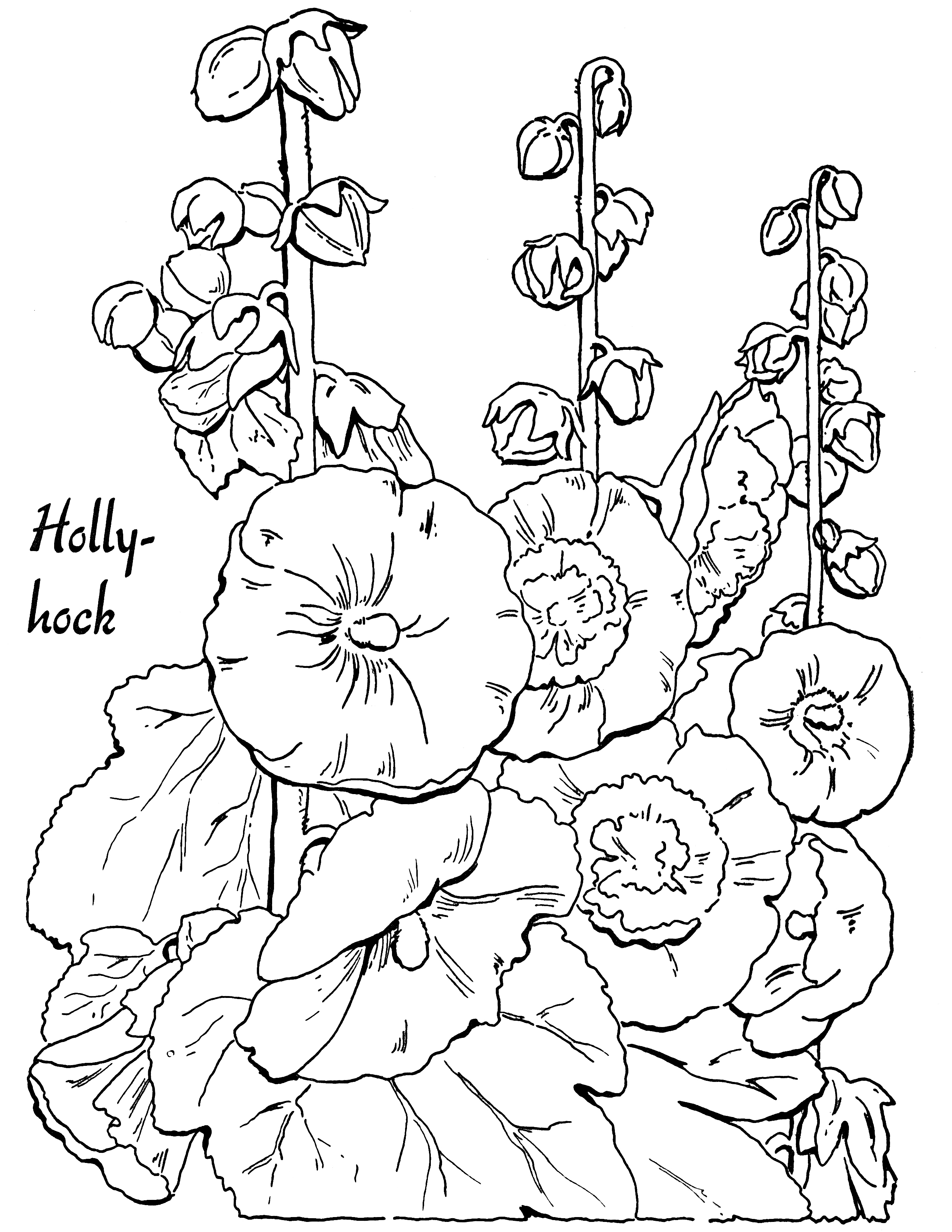 Coloring Pages Clip Art 46