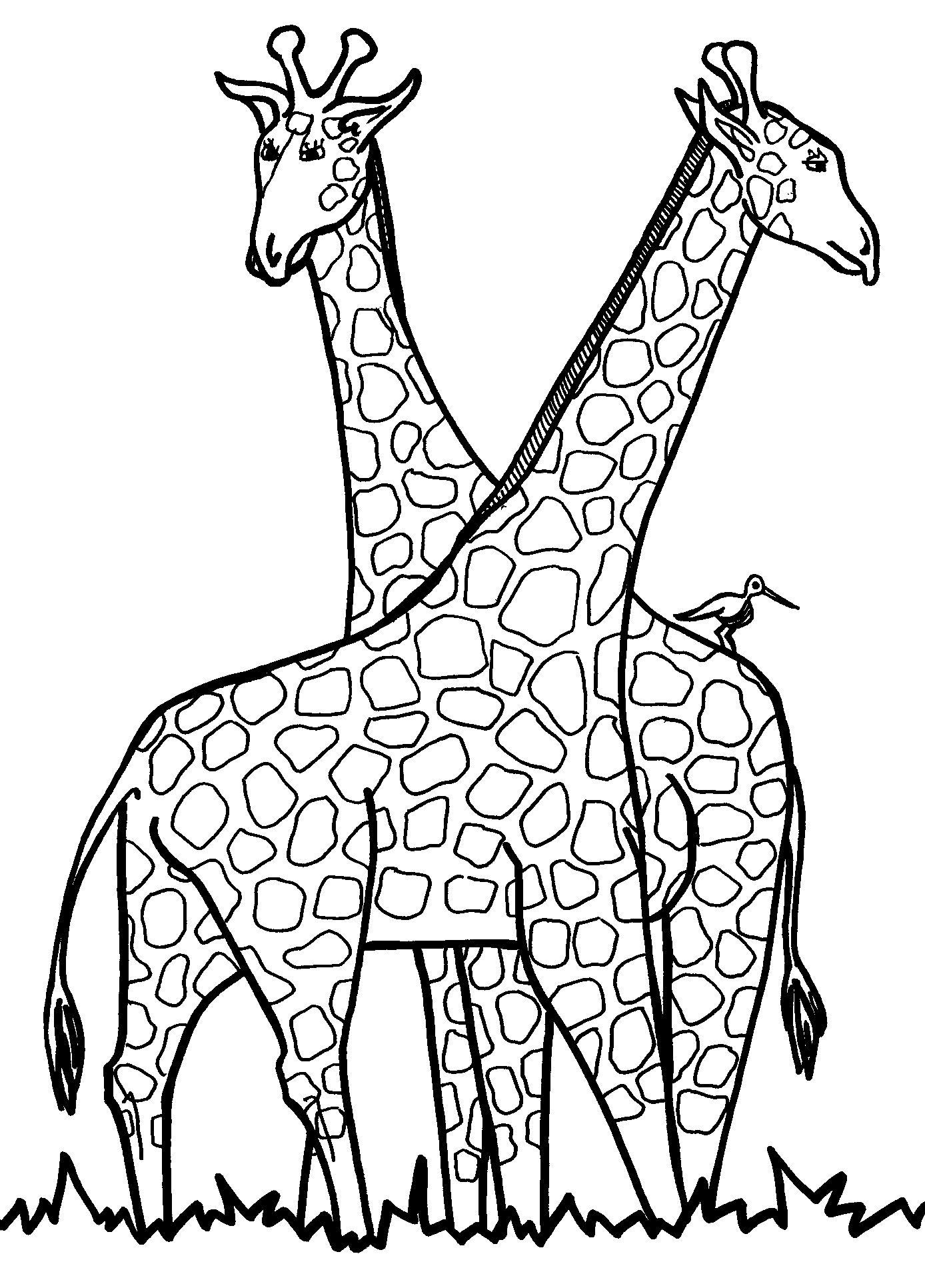 Coloring Pages Clip Art 47