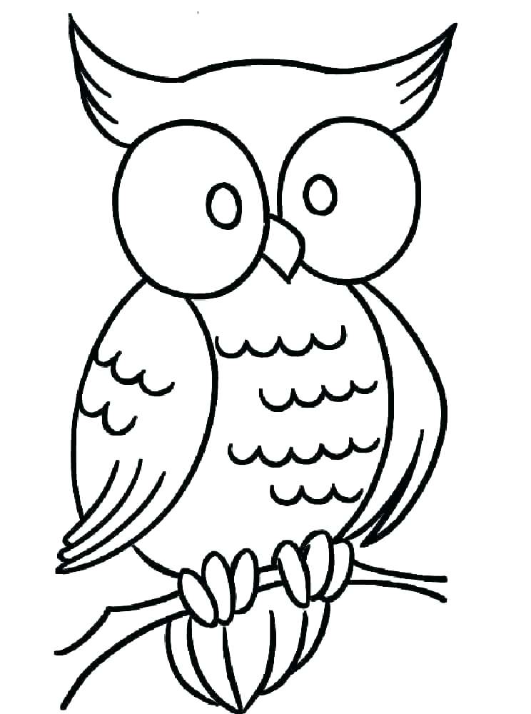 Nocturnal Animals Coloring Page 104