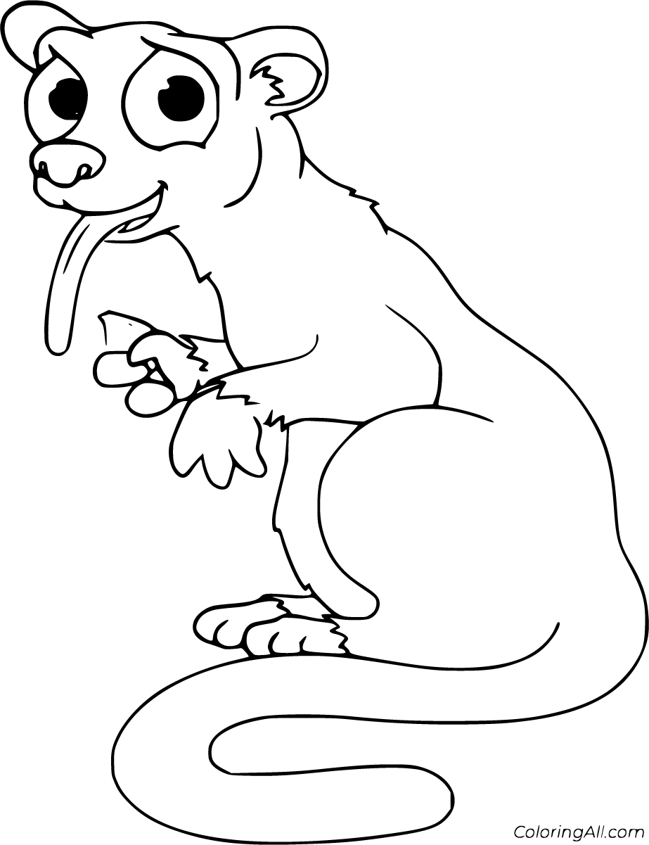 Nocturnal Animals Coloring Page 110