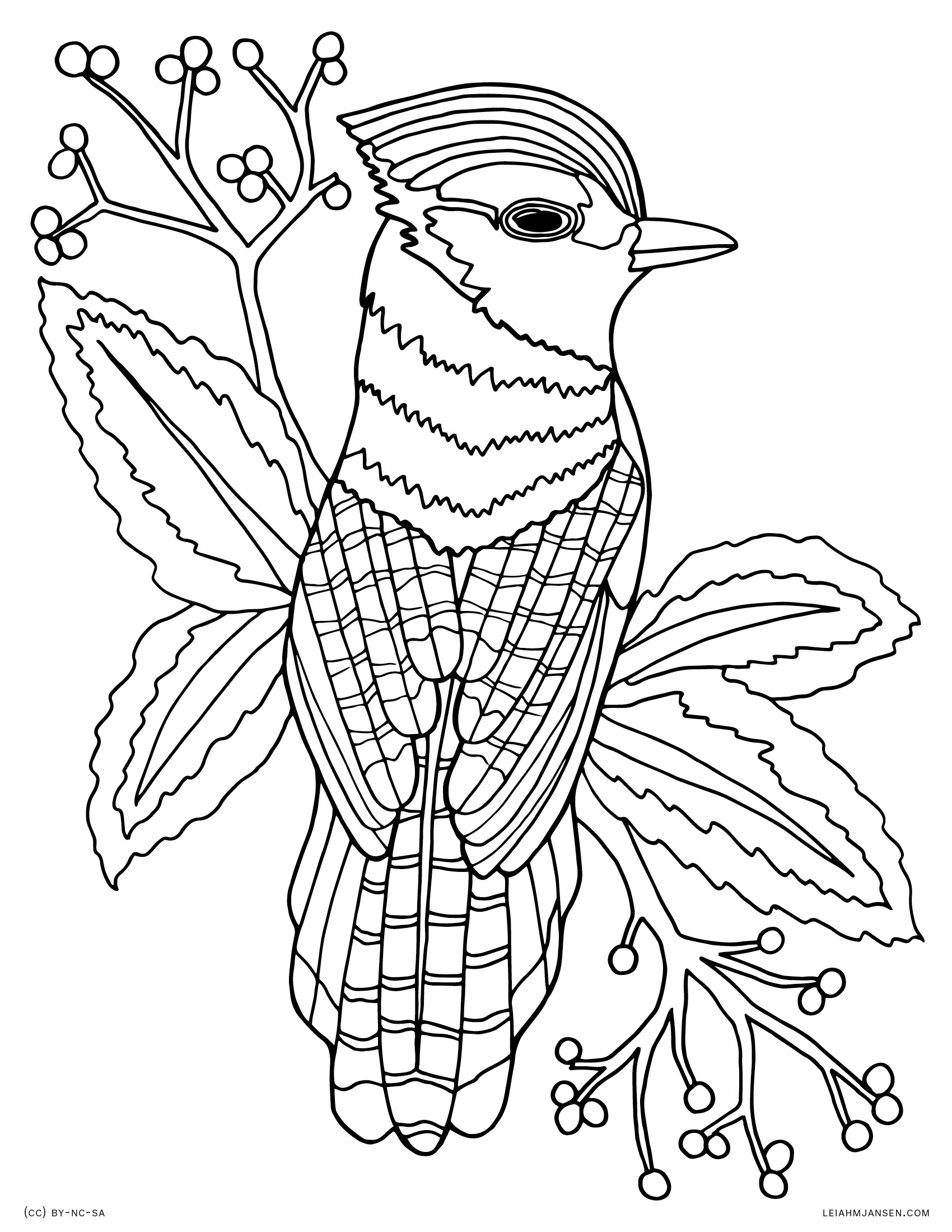 Nocturnal Animals Coloring Page 115