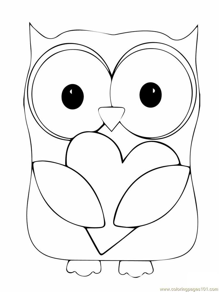 Nocturnal Animals Coloring Page 117