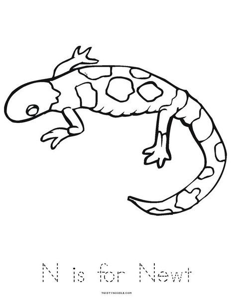 Nocturnal Animals Coloring Page 118