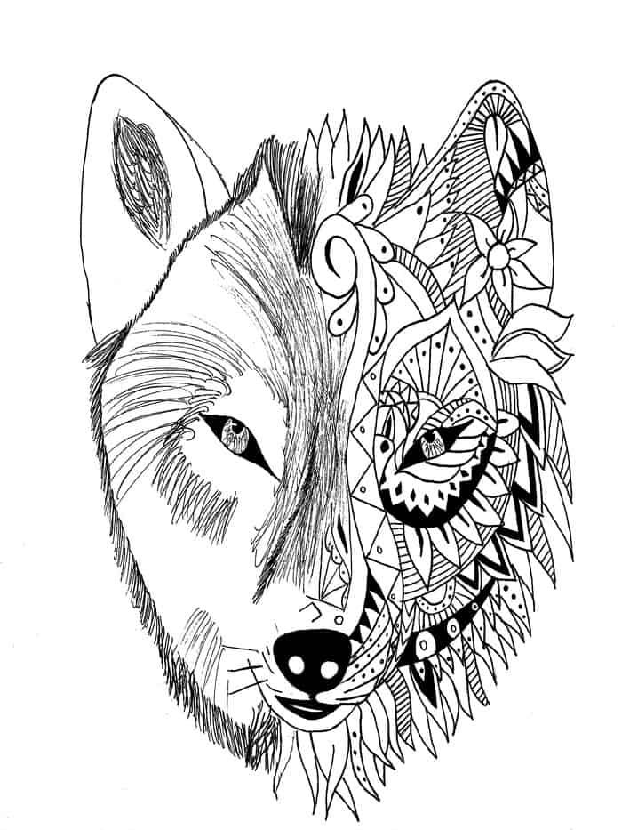 Nocturnal Animals Coloring Page 12