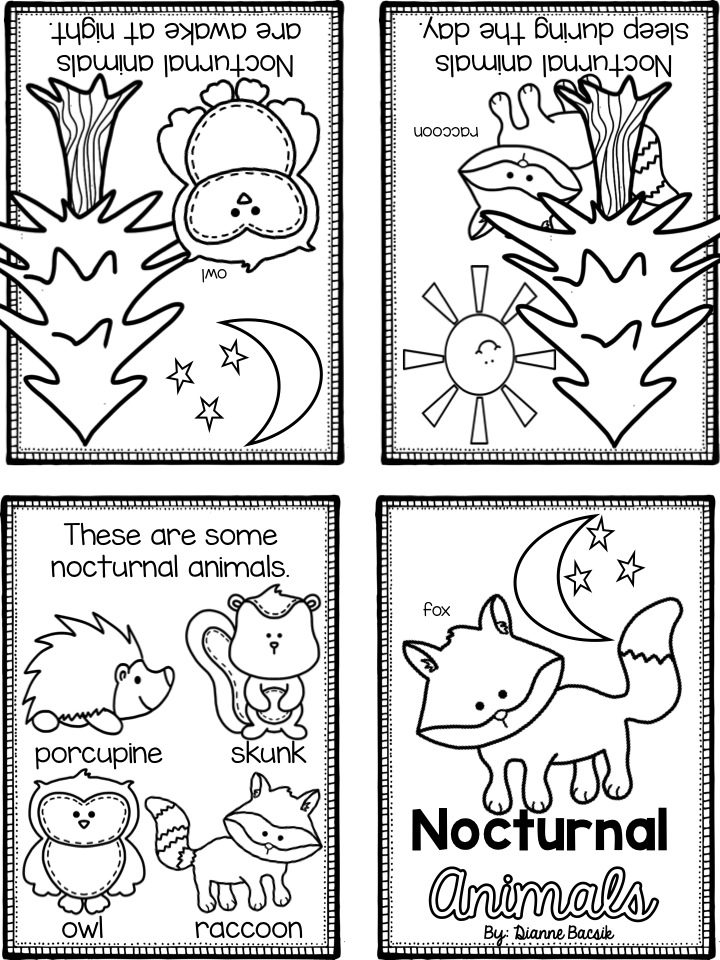 Nocturnal Animals Coloring Page 121