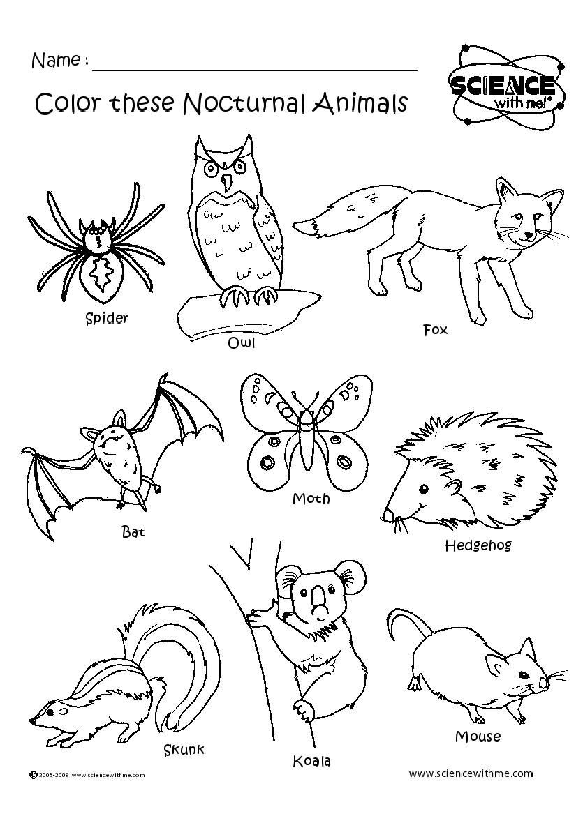 Nocturnal Animals Coloring Page 124
