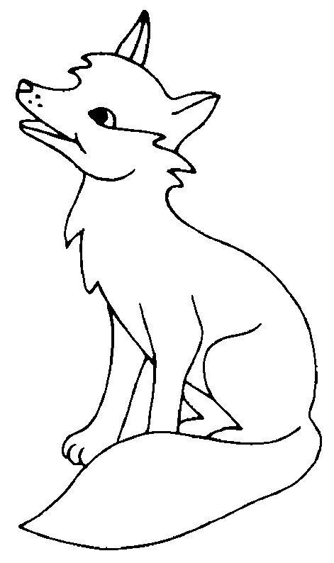 Nocturnal Animals Coloring Page 129