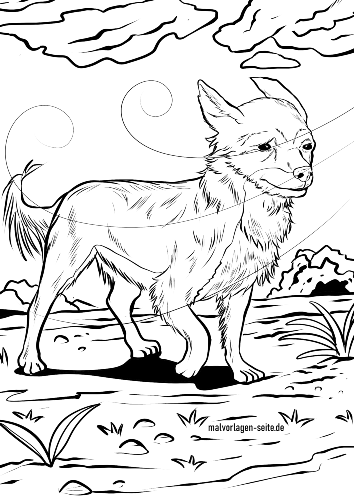 Nocturnal Animals Coloring Page 130