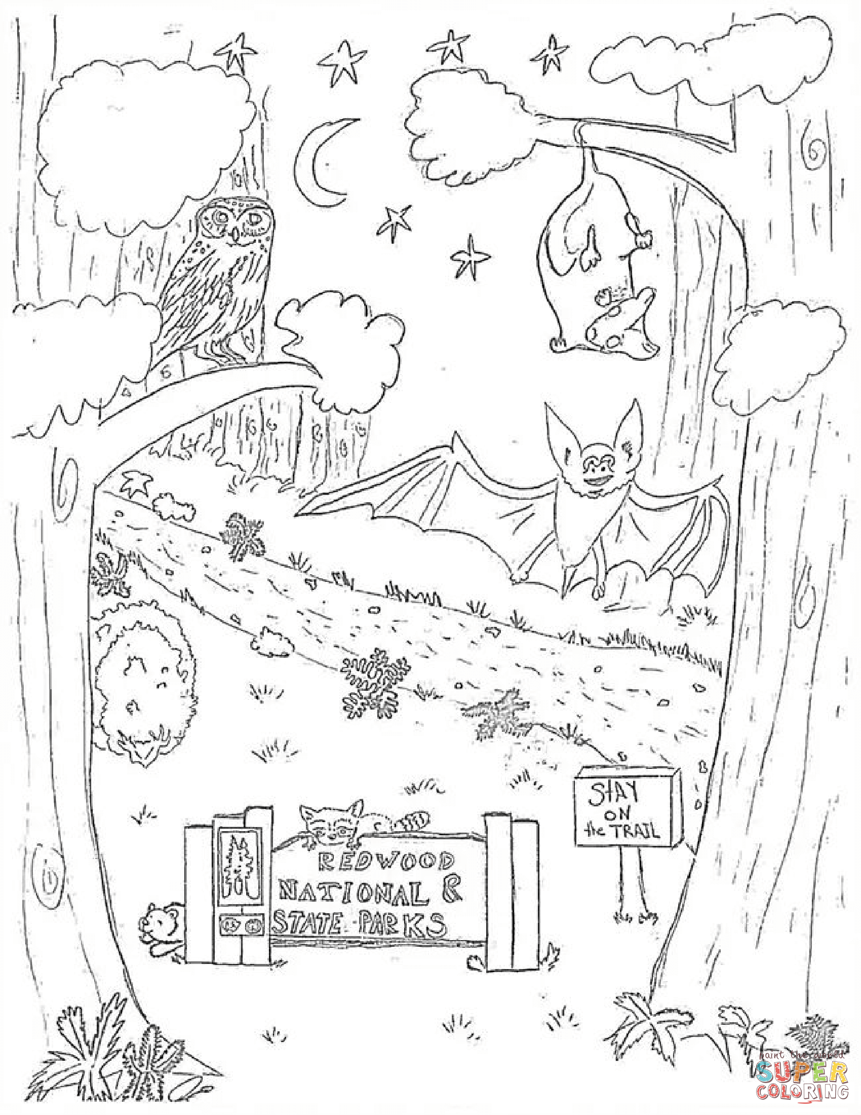 Nocturnal Animals Coloring Page 3