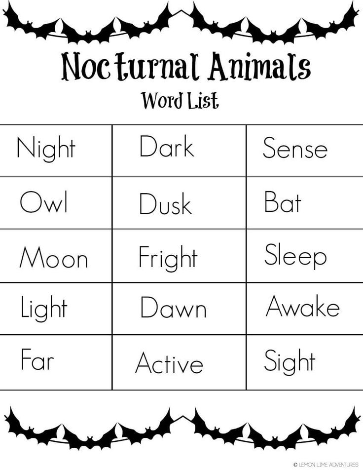 Nocturnal Animals Coloring Page 37