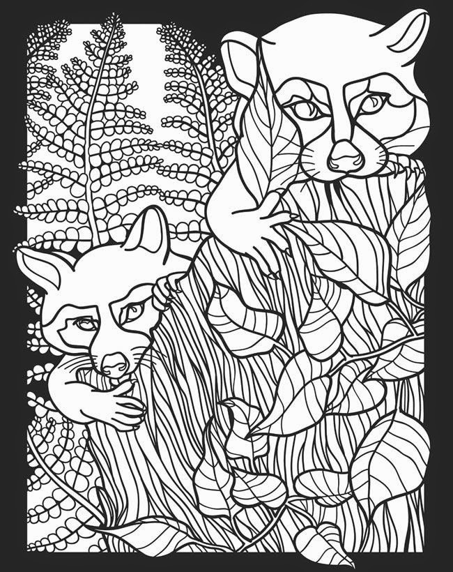 Nocturnal Animals Coloring Page 46