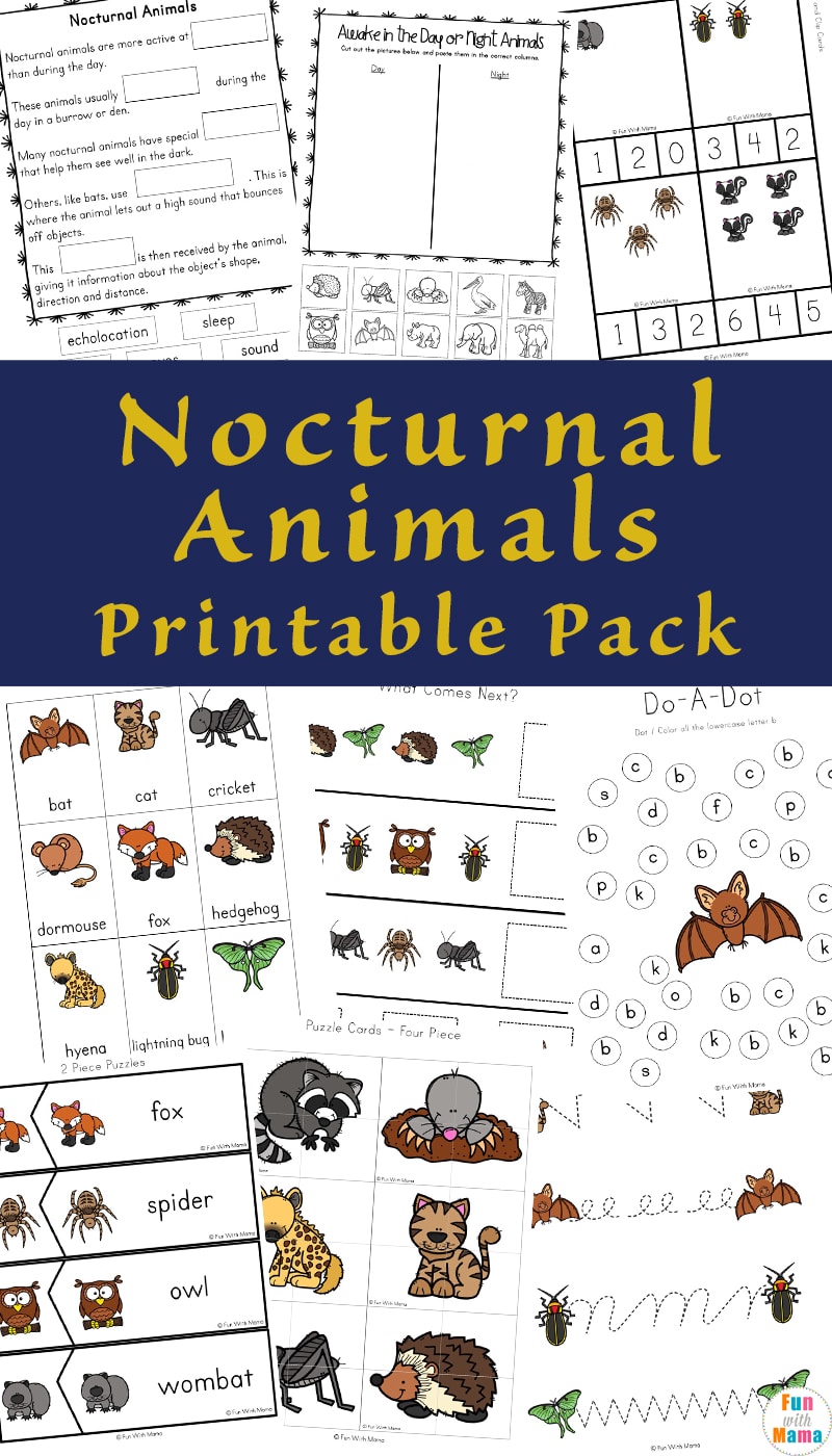 Nocturnal Animals Coloring Page 51