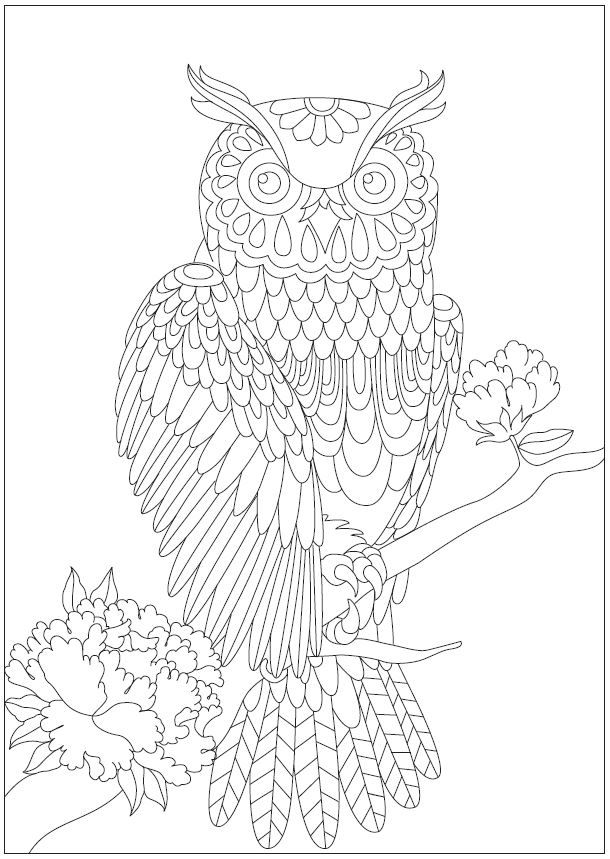 Nocturnal Animals Coloring Page 54