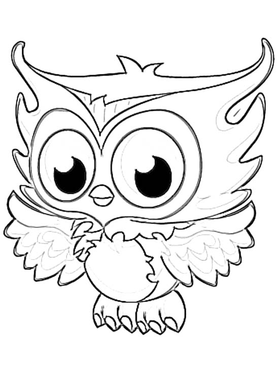 Nocturnal Animals Coloring Page 56