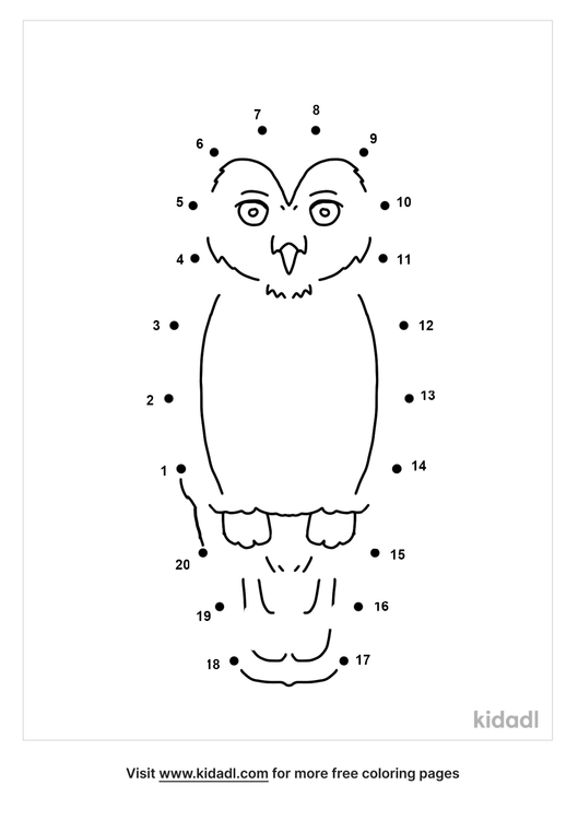 Nocturnal Animals Coloring Page 57