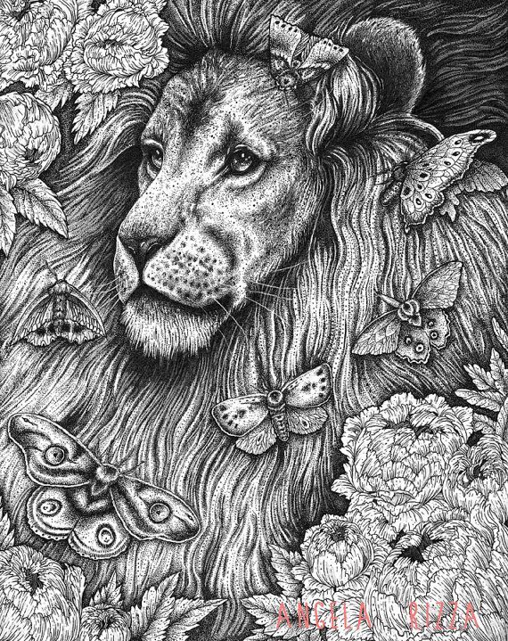 Nocturnal Animals Coloring Page 59