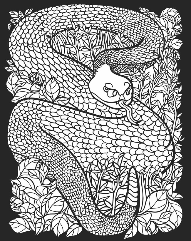 Nocturnal Animals Coloring Page 64