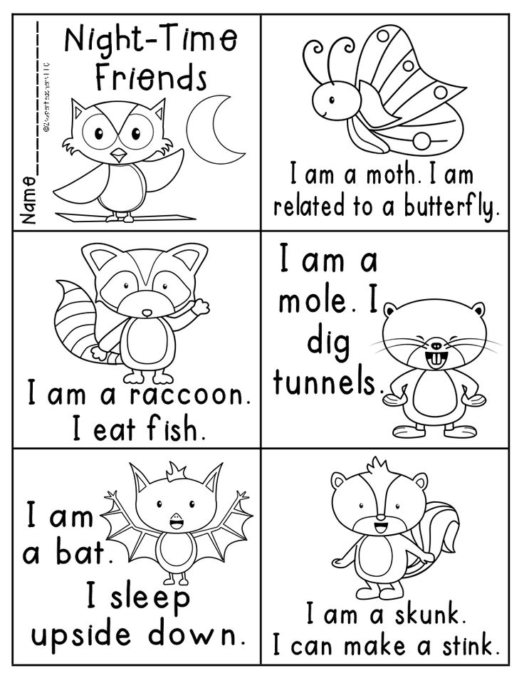 Nocturnal Animals Coloring Page 66