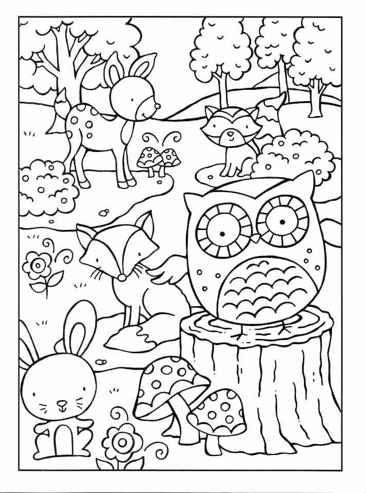 Nocturnal Animals Coloring Page 7