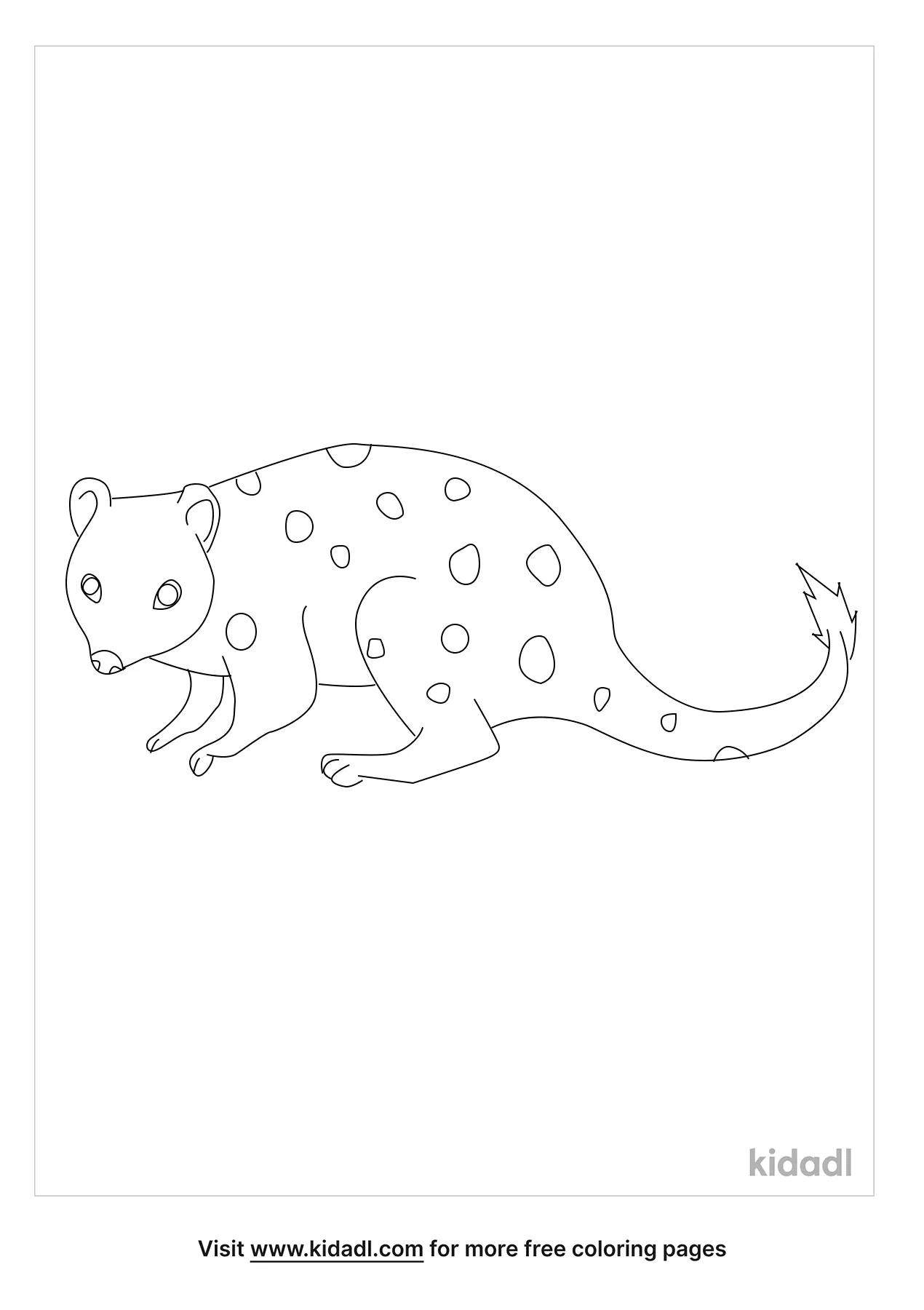 Nocturnal Animals Coloring Page 73