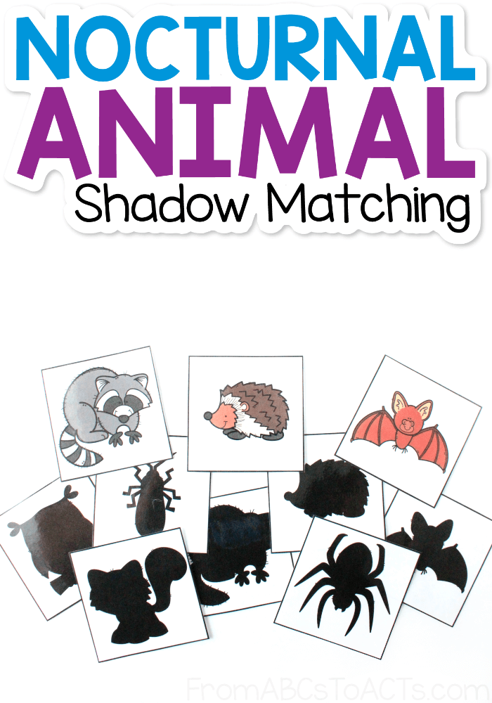 Nocturnal Animals Coloring Page 75
