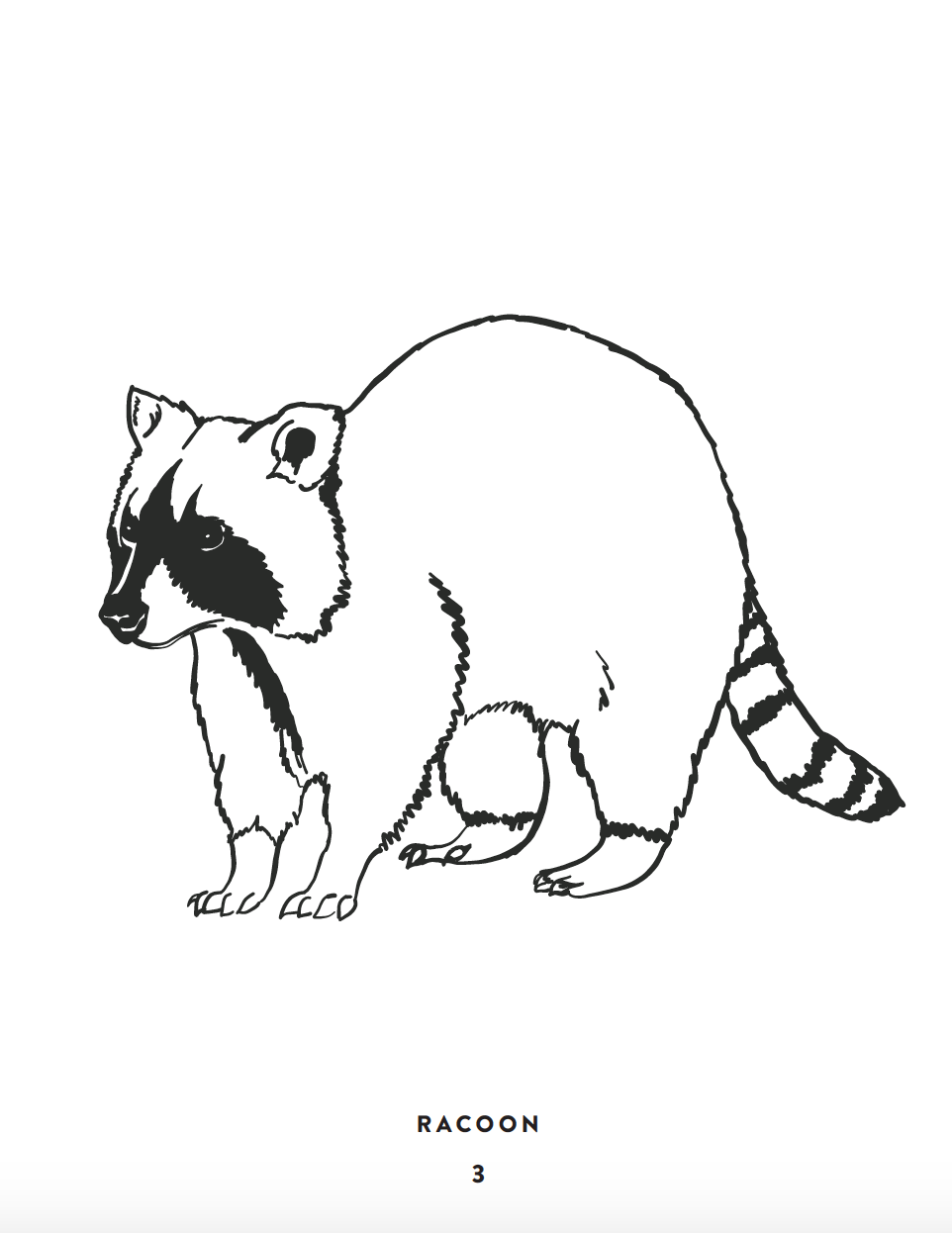 Nocturnal Animals Coloring Page 79