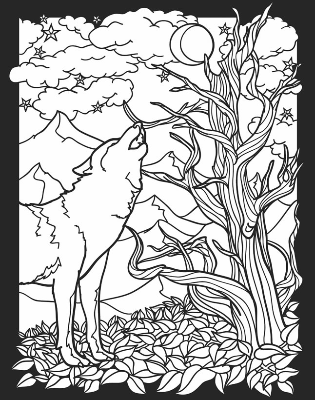 Nocturnal Animals Coloring Page 80