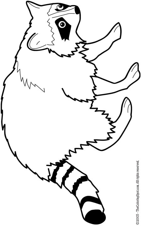 Nocturnal Animals Coloring Page 83