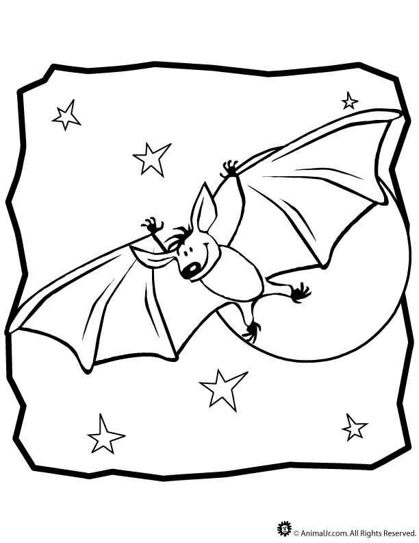 Nocturnal Animals Coloring Page 85