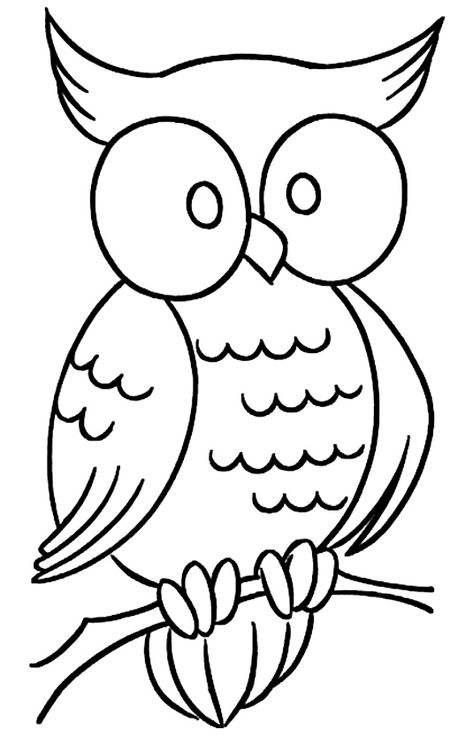 Nocturnal Animals Coloring Page 88