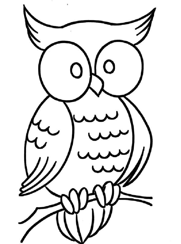 Nocturnal Animals Coloring Page 90