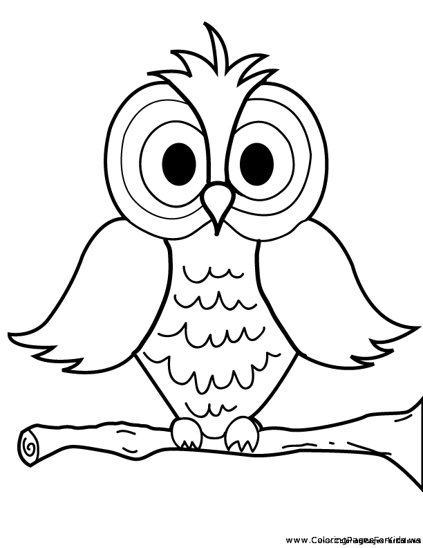 Nocturnal Animals Coloring Page 91