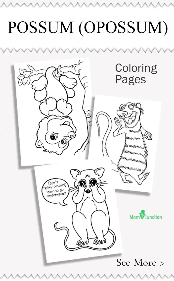 Nocturnal Animals Coloring Page 94