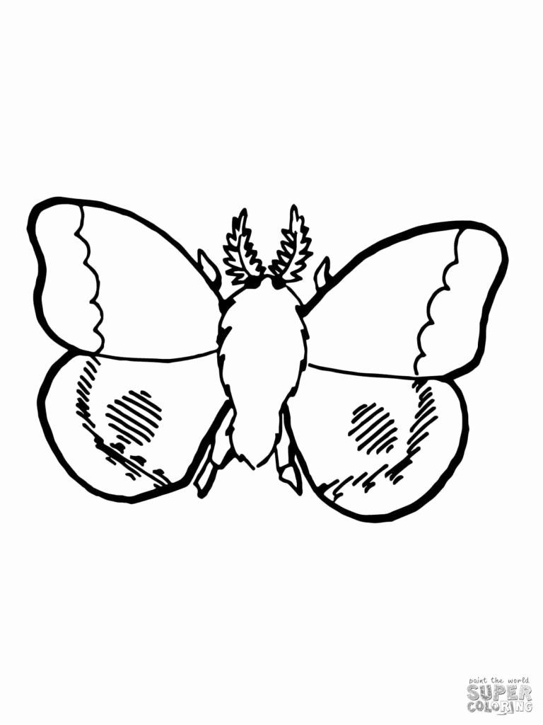 Nocturnal Animals Coloring Page 96