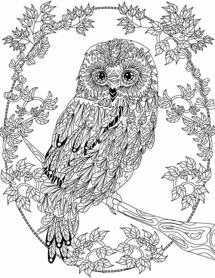 Nocturnal Animals Coloring Page 98