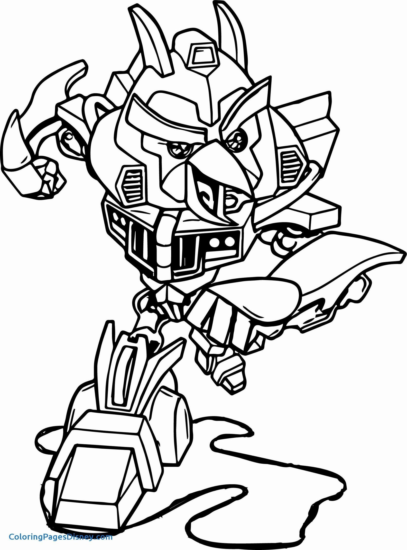 Pacific Rim Colouring Pages 40