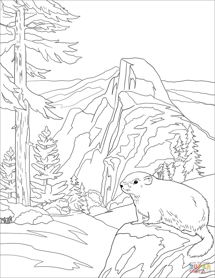 Printable National Park Coloring Book 2