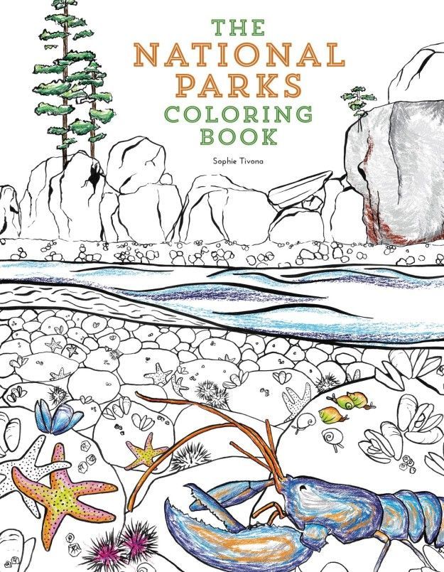 Printable National Park Coloring Book 45
