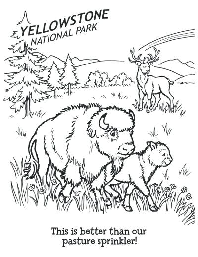 Printable National Park Coloring Book 49