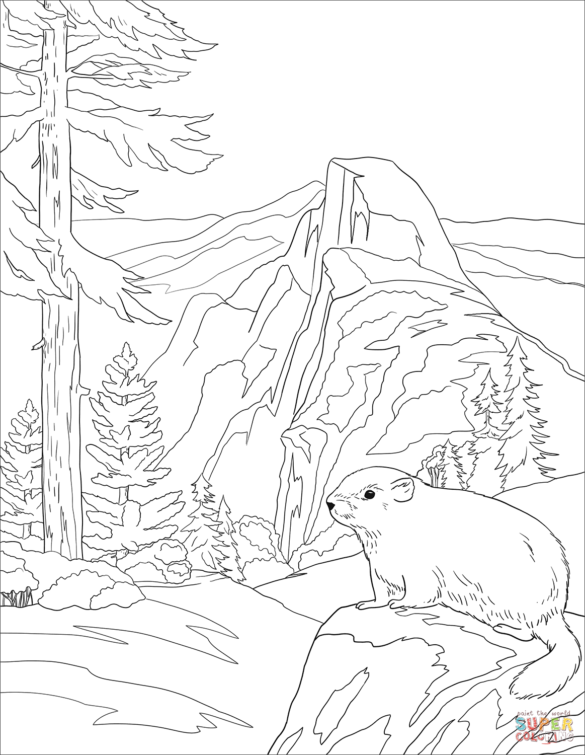 Printable National Park Coloring Book 5