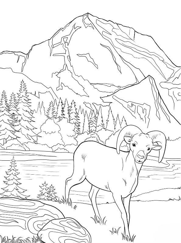 Printable National Park Coloring Book 67