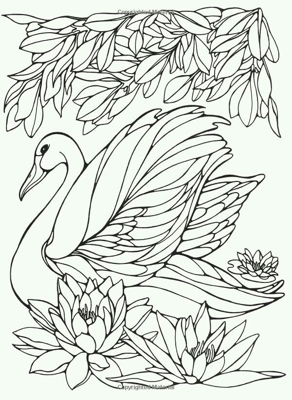 Save 60+ Coloring Pages For Watercolor 30