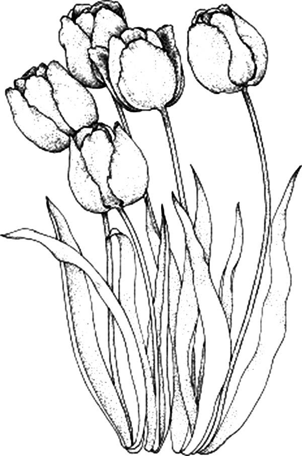 Save 60+ Coloring Pages For Watercolor 31