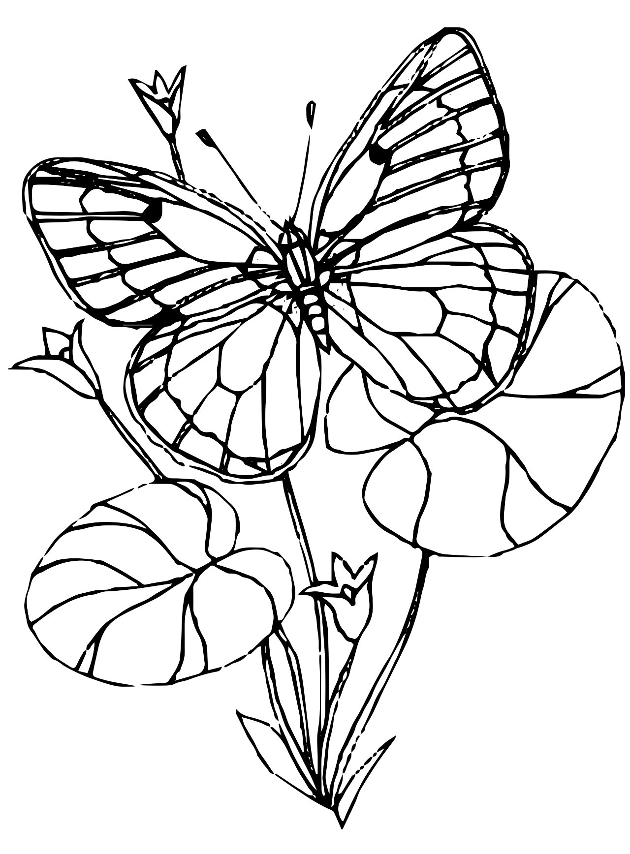 Save 60+ Coloring Pages For Watercolor 35