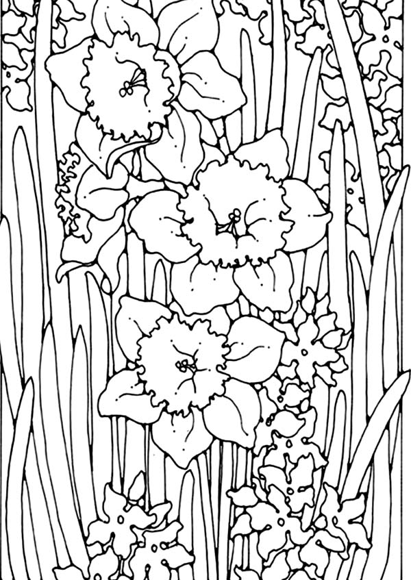 Save 60+ Coloring Pages For Watercolor 38