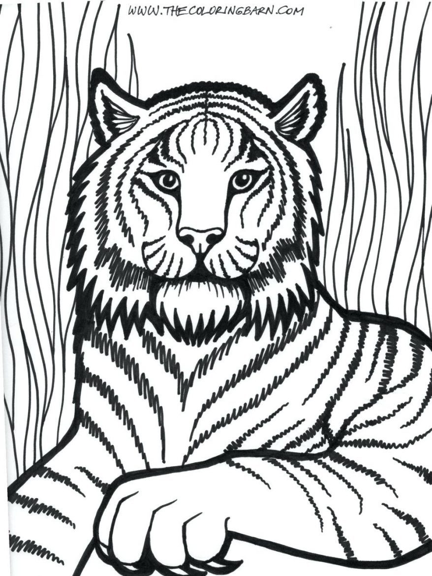 Save 60+ Coloring Pages For Watercolor 43