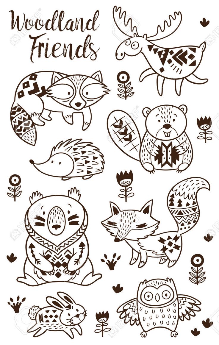 Woodland Creatures Coloring Pages 16