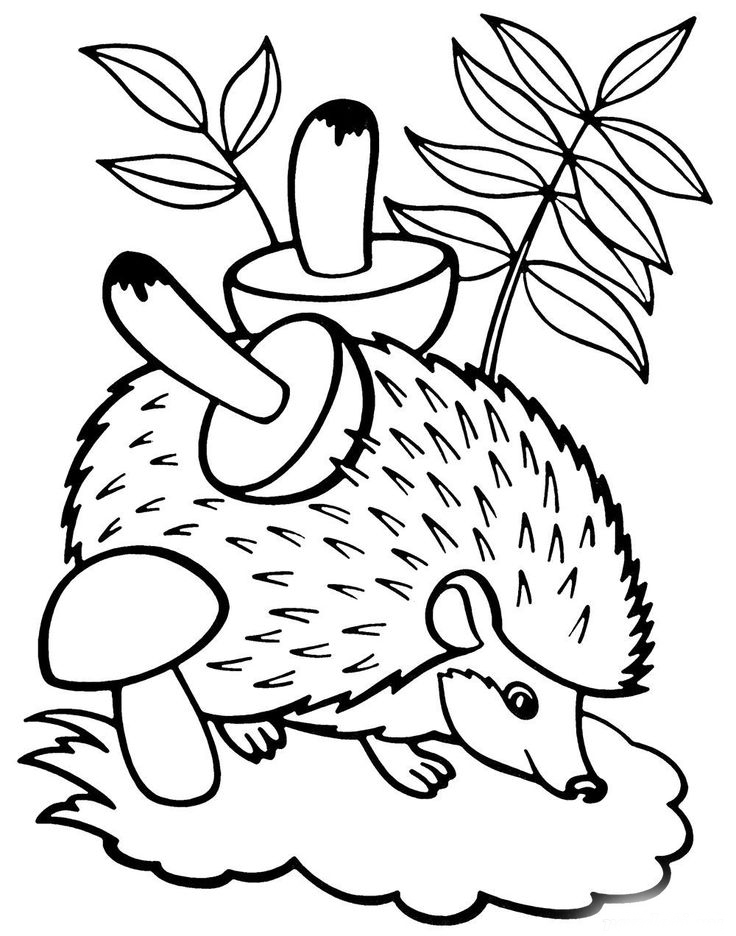 Woodland Creatures Coloring Pages 17